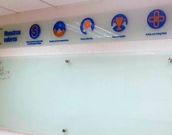 impresion grafica en display